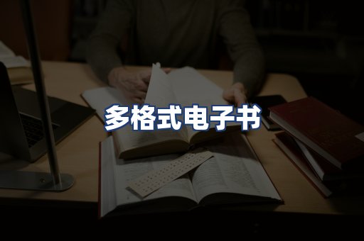 多格式电子书